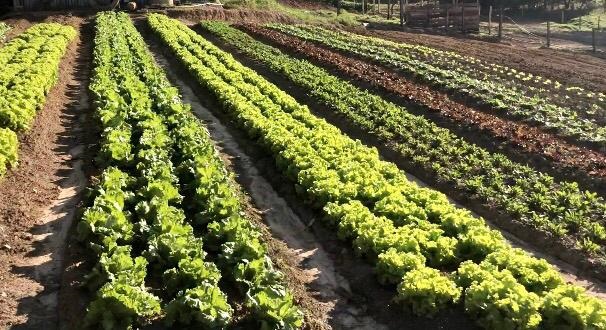 pmtb_parceria_agricultor_2023